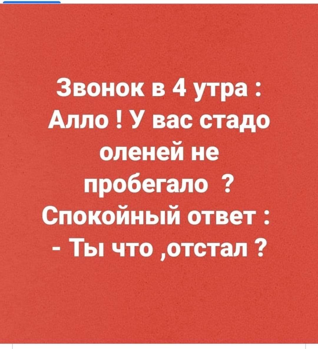 Звонок в 4 утра : алло ! У вас стадо оленей не пробегало ? Спокойный ответ :  ты что отстал ?