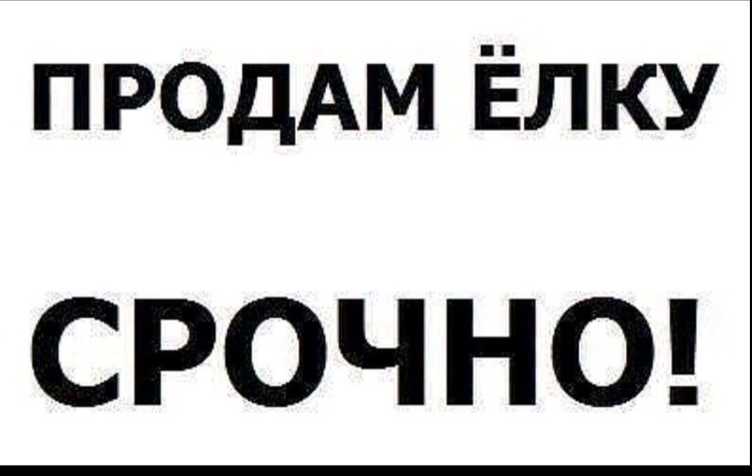 ПРОДАМ Ёлку СРОЧНО