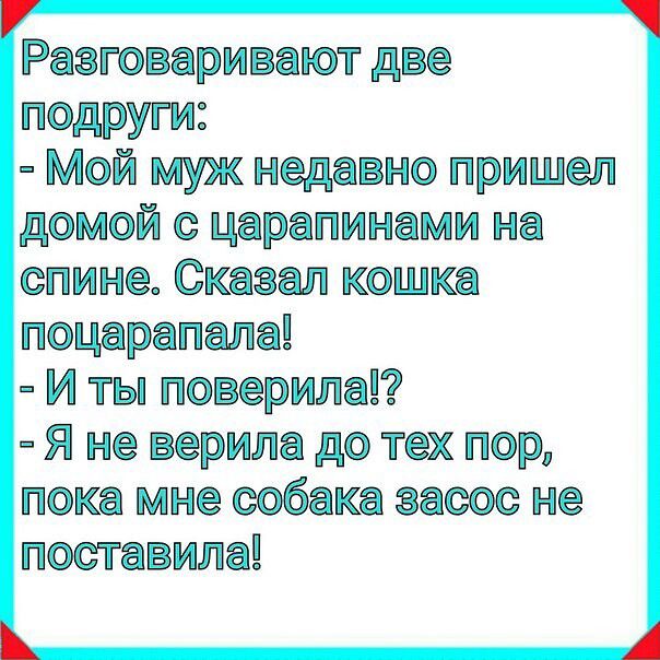 Разговаривают две подруги Мой муж недавно пришел домой с царапинами на спине Сказал кошка поцарапала И ты поверила Я не верила до тех пор пока мне собака засос не поставила