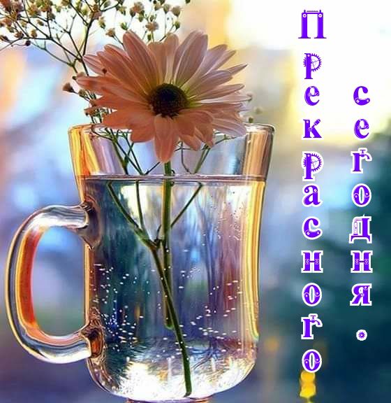 ветгЩНШ