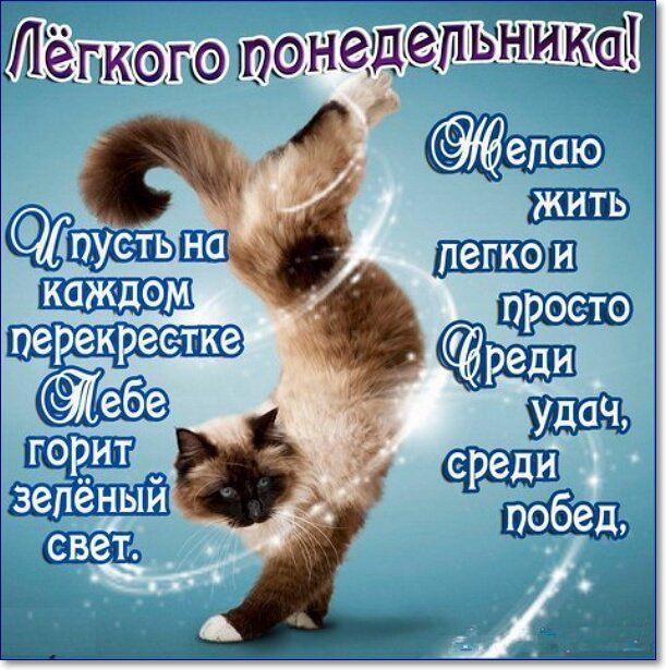 В свёт