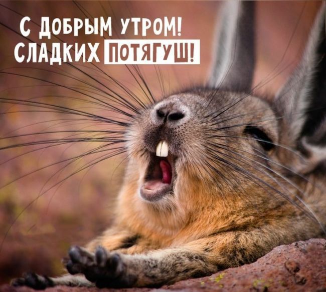 с лАдких Потяпшл