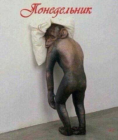 Эдда 4 и и