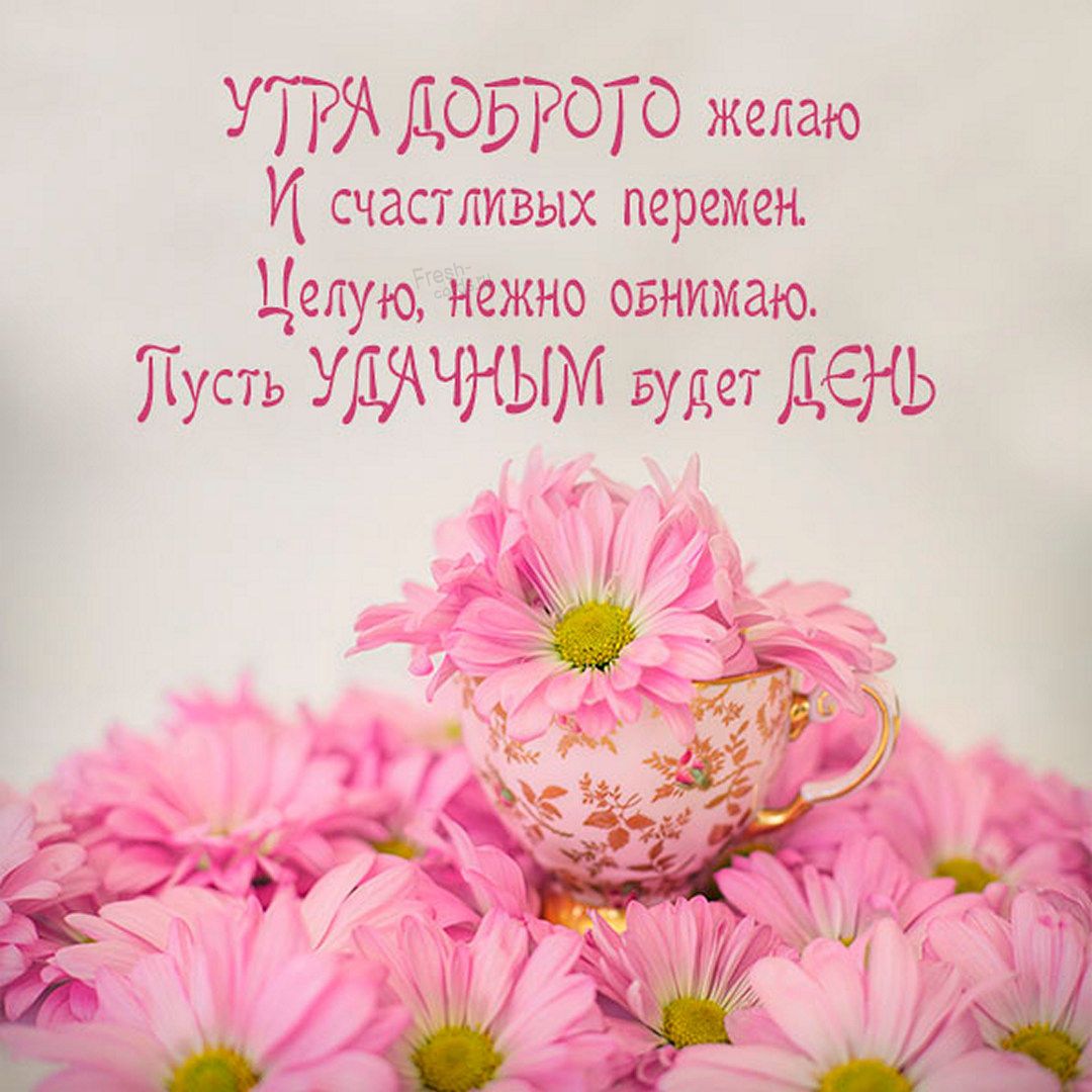 УТРИ ДОБРОТО желаю И счас пи вых пертётлён егу Нежно евнухдю уоь УМЧНЫЪГ зуда