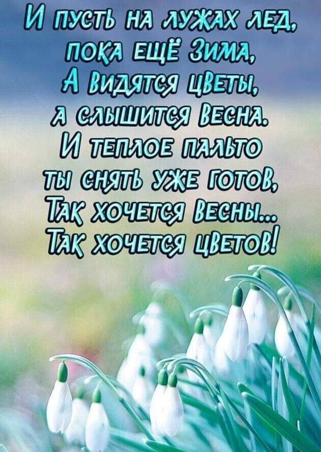 М тщёащъ адм а Ит и ЁЁ ЁЁ
