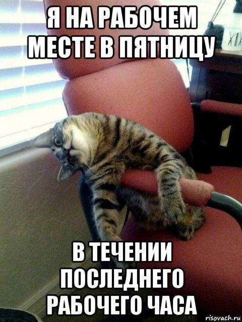 втечении поспвднно гдвочнп чдед