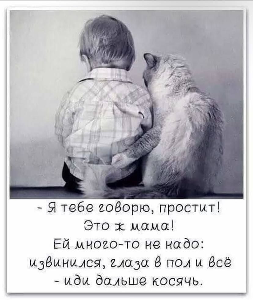 Я тебе годорю простит Это мама Ей многото не надо извинился нада пол и всё иди дальше косячь