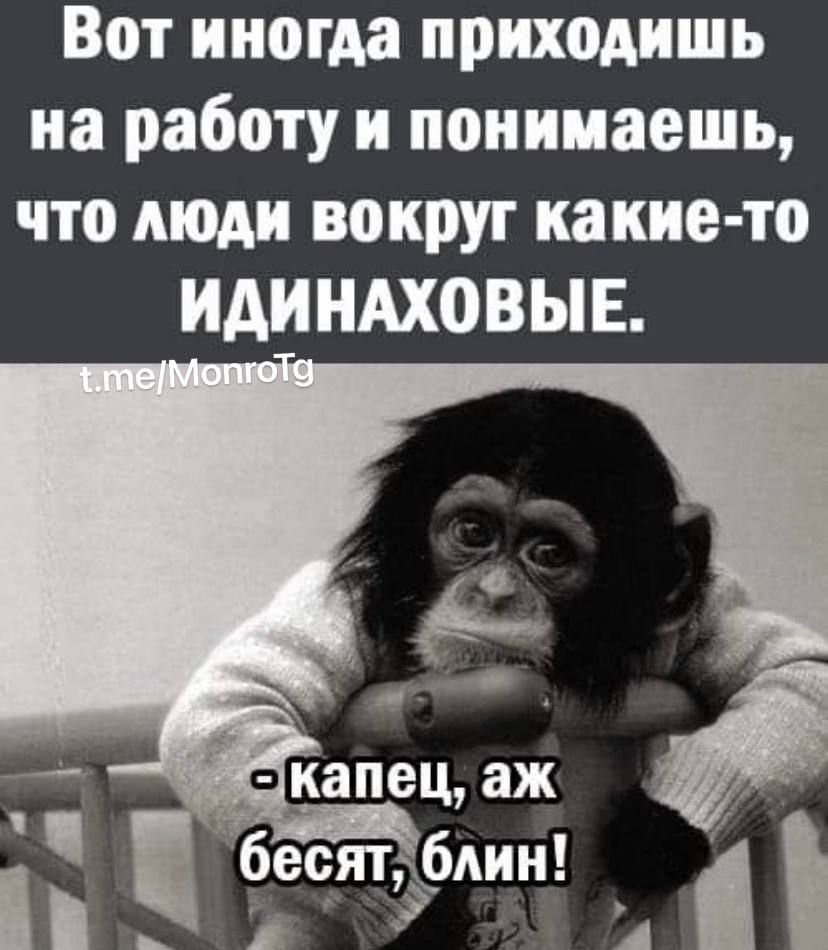 Вот иногда приходишь на работу и понимаешь что люди вокруг какие то ИАИНАХОВЫЕ