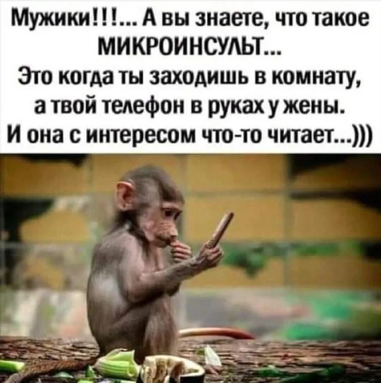 Мужики А вы знаете что такое МИКРОИНСУАЬТ Это когда ты заходишь в комнату а твой телефон в руках у жены И она с интересом чтото читает