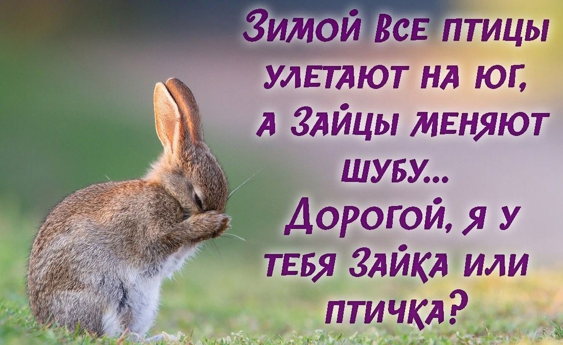_ птицы улгтлют нд юг А гдйцы мвняют шубу Дорогой я у ТЕБЯ Злйкл или птичкл_