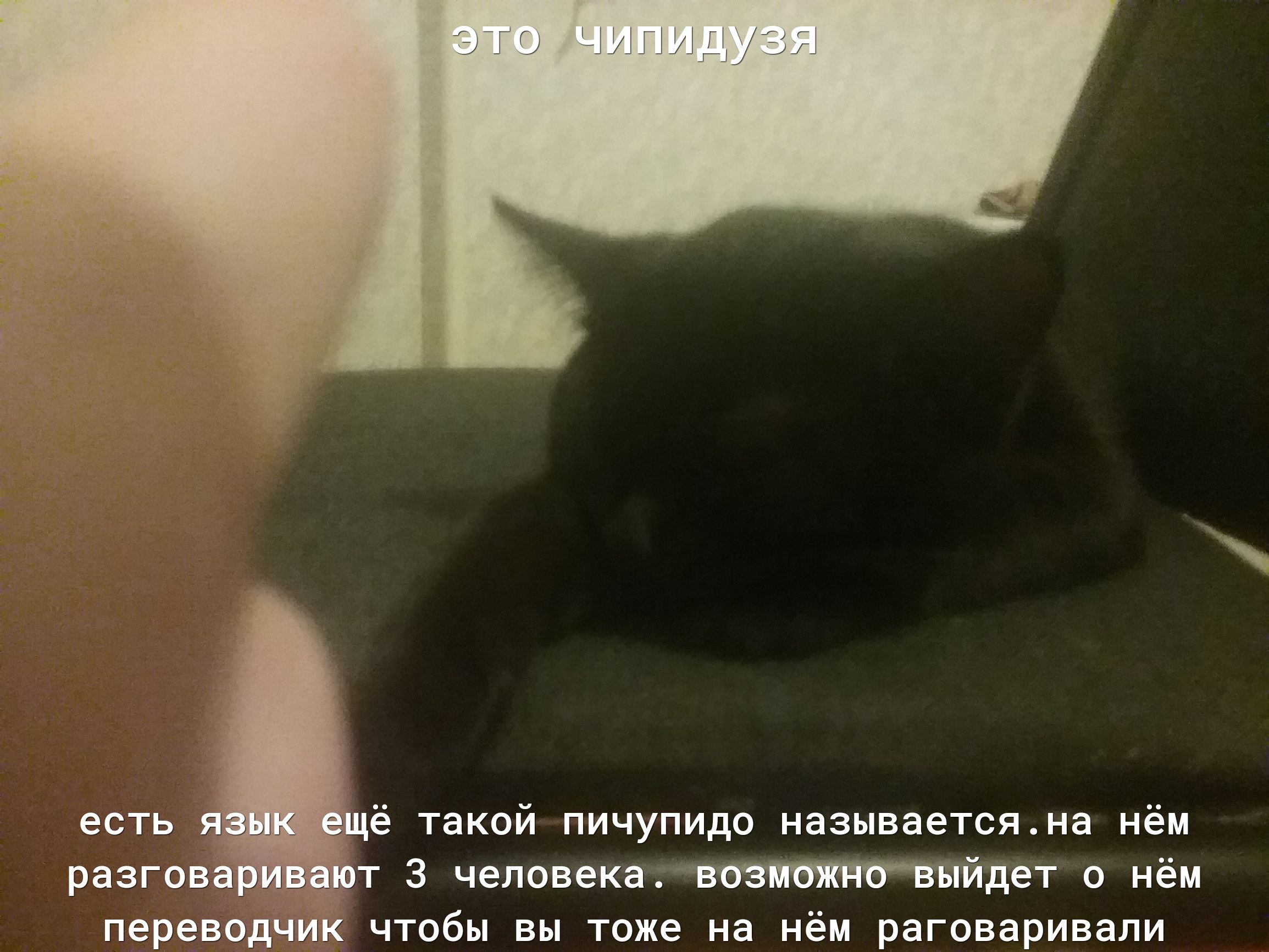 переводчик чтобы вы тоже на нём раговаривали