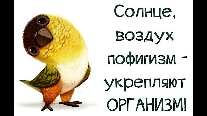 Солнце воздух пофигизм _ укрепляют ОРГ АНИЗМ