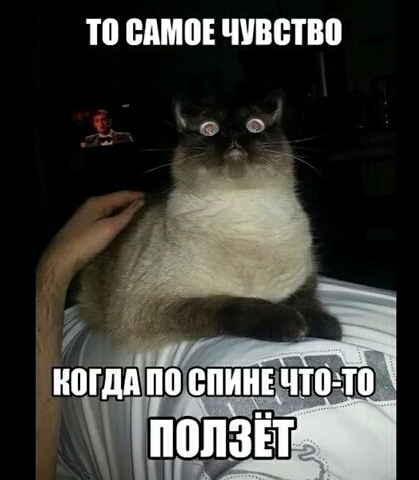 11 ШШ ЧУВБТШБ