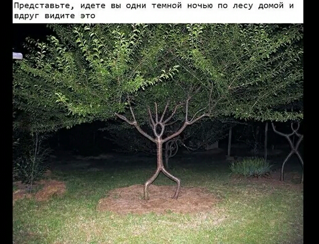 Првдтавьте идете вы одни темном ночью по лесу домпи и вдруг видите это