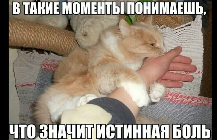 тд ЩМЕНТЩЧЁНМПЕЬ