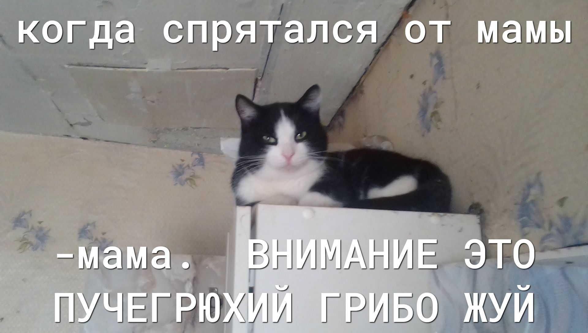 когда спрятался ОТ мамы