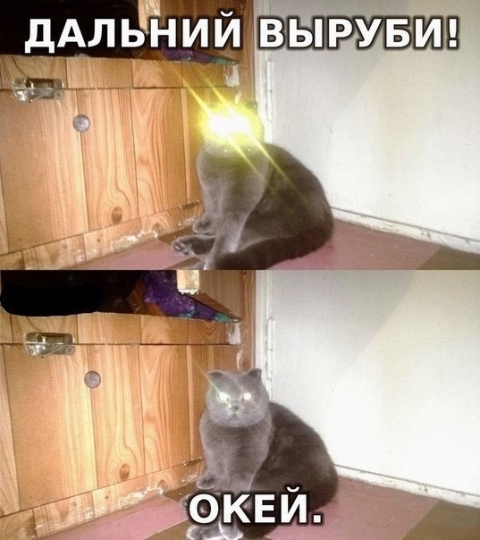 дАЛЬНИЙ вырувип