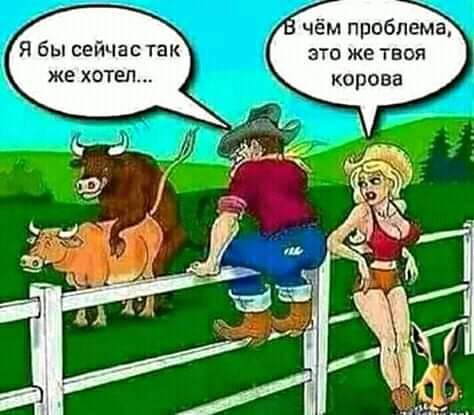 м проблема это же твои корова