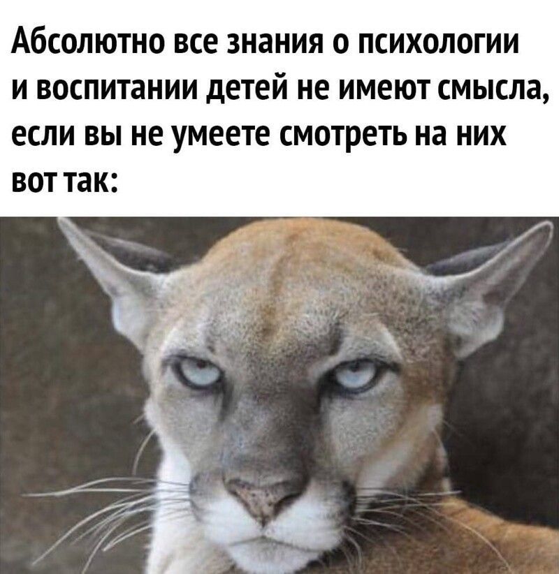 АБСОЛЮТНО ВСЕ знания 0 ПСИХОЛОГИИ И ВОСПИТЗНИИ детей не имеют СМЫСЛЗ ЕСЛИ ВЫ НЕ УМЕЕТЕ СМОТРЕТЬ на НИХ ВОТ ТЗК