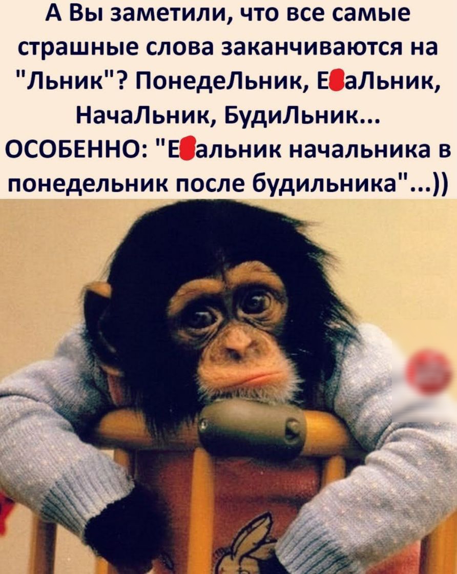 А Вы заметили что все самые страшные слова заканчиваются на Льник ПонедеЛьник Е аЛьник НачаЛьник БудиЛьник ОСОБЕННО Е альник начальника в понедельник после будильника