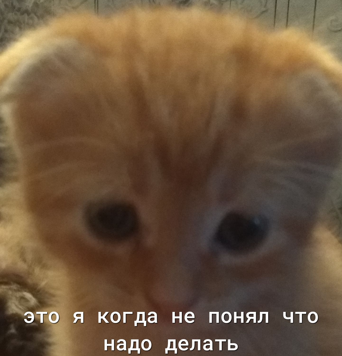 это я когда не понял что надо делать