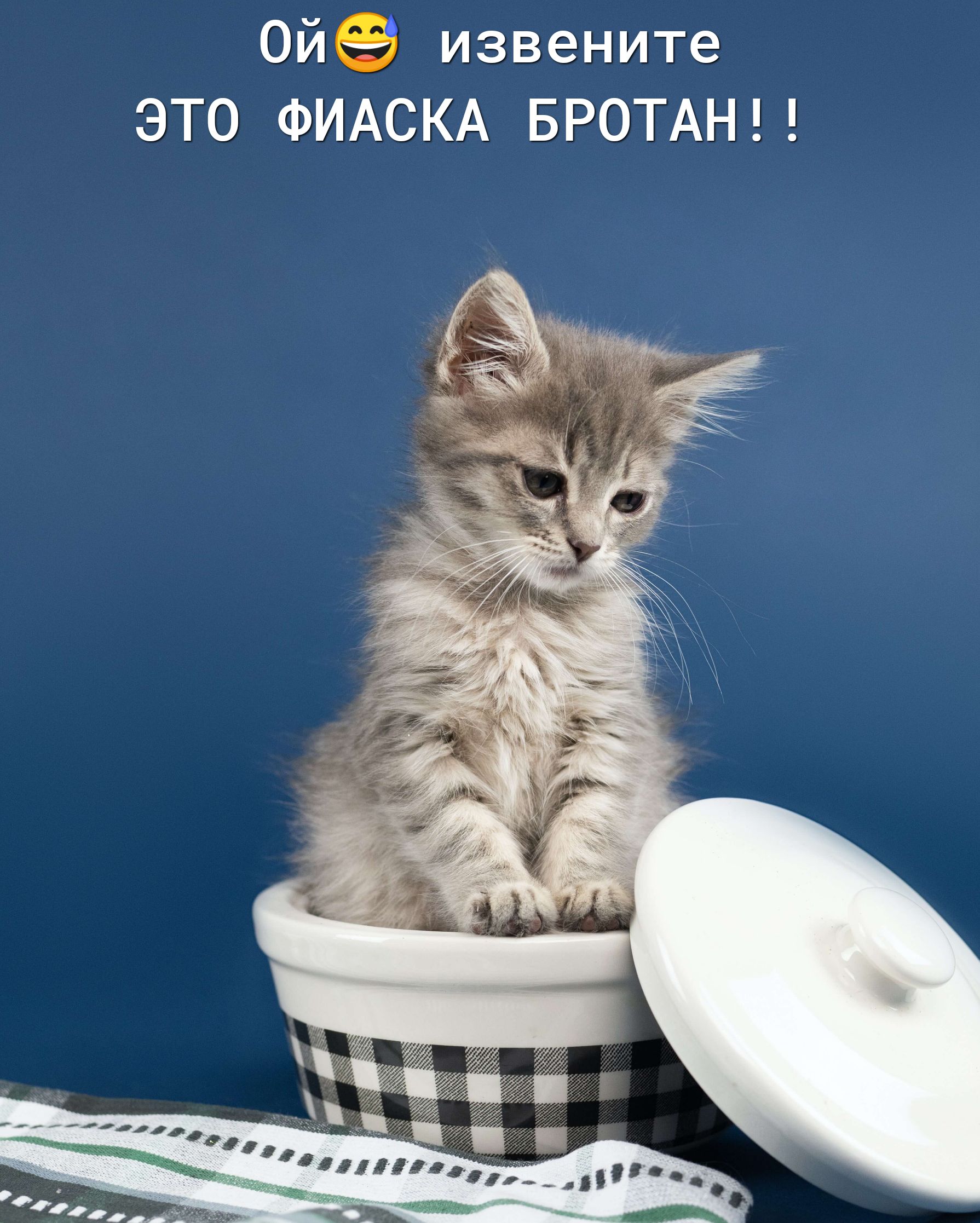 Ой извените ЭТО ФИАСКА БРОТАН