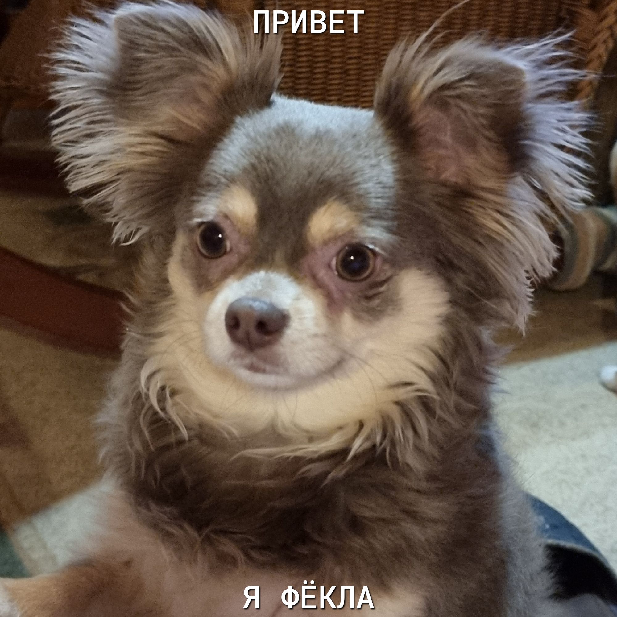 ПРИВЕТ ім