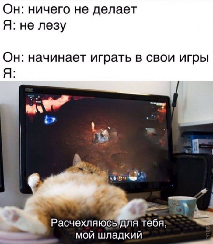 Он ничего не делает Я не лезу Он начинает играть в свои игры Я Расчехпяюсь для тебя мой шладкий