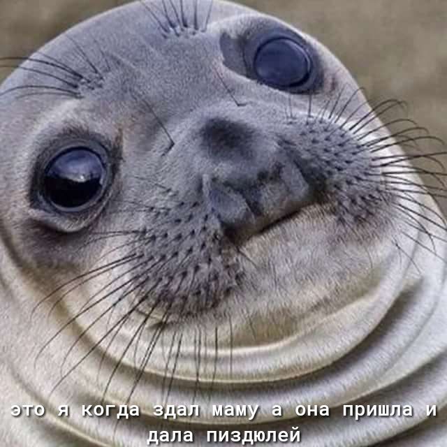Лапиздюле: