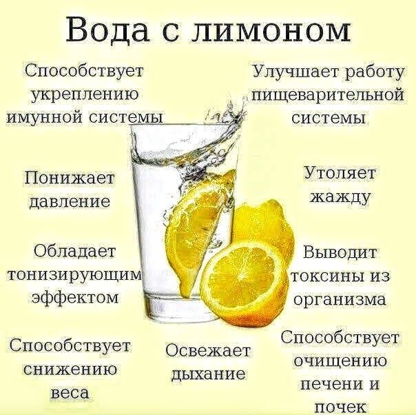 Вода с лимоном Способствует Улучшает работу укреплению пищеварительной ИМУННОЙ системы _ системы Понижает Утопяет давление жажду Обладает Выводит ТОНИЗИРУЮЩИ токсины из Эффектом организма Способствует Освежает СПОСОБСТБУЭТ снижению дыхание очищению веса печени и почек