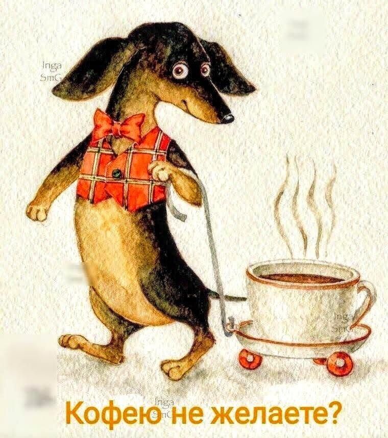 КофекіНе желаете