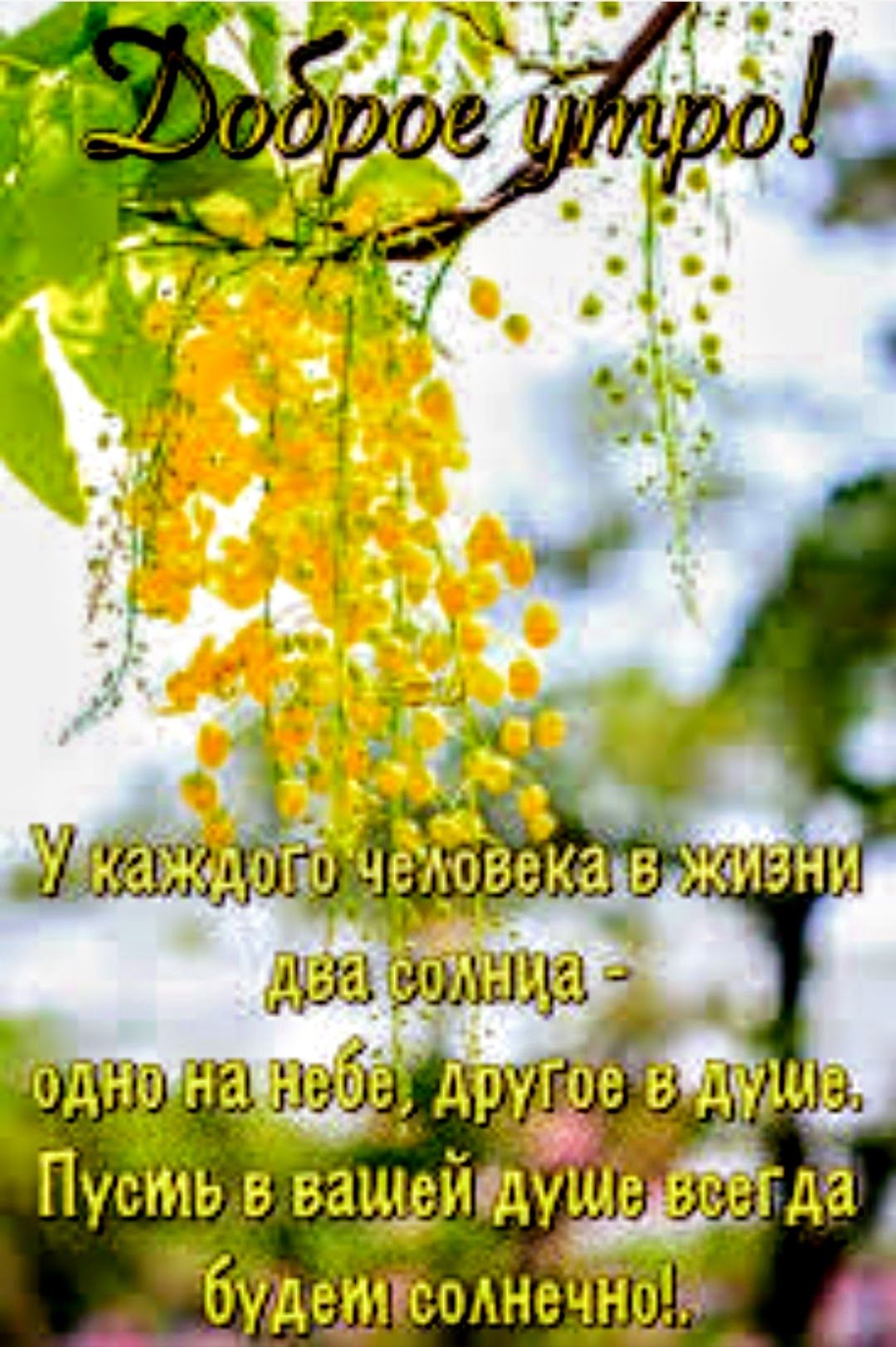ббде ИПсолнечноВ