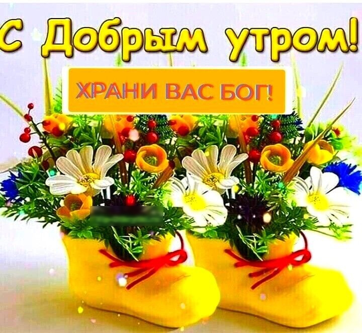 Цобреи утрем а й