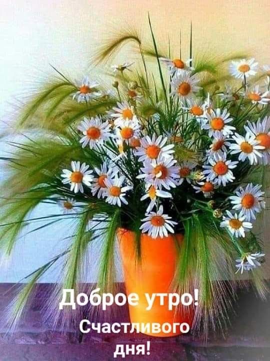 в Е 5