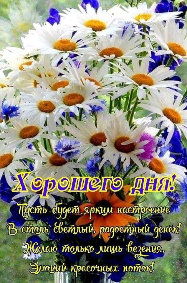 аю только _шшь е_киу Эм ий красочных коток