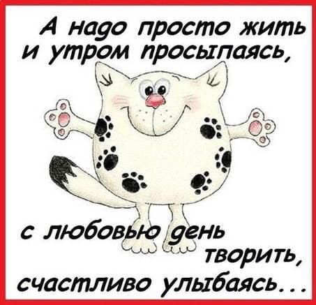 А надо просто жить и утром просыпаясь аЧЙ с любовью день 57 творить счастливо улыгбаясь