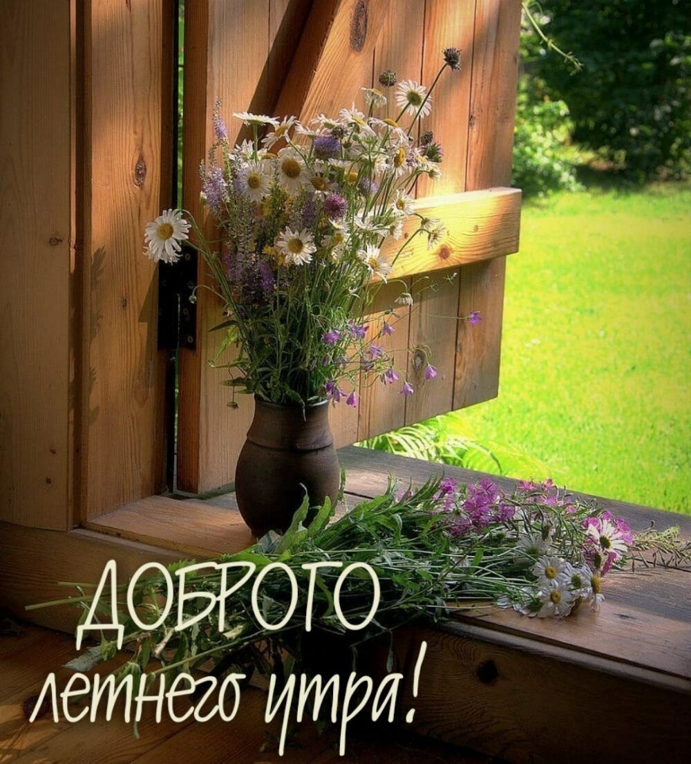 дОЁбГ Аетнёга три