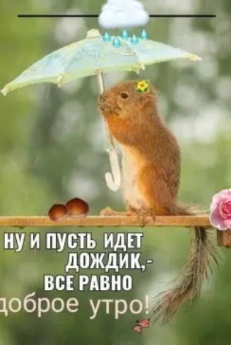 ну и пусть иди дождик вс мвио юброе утро