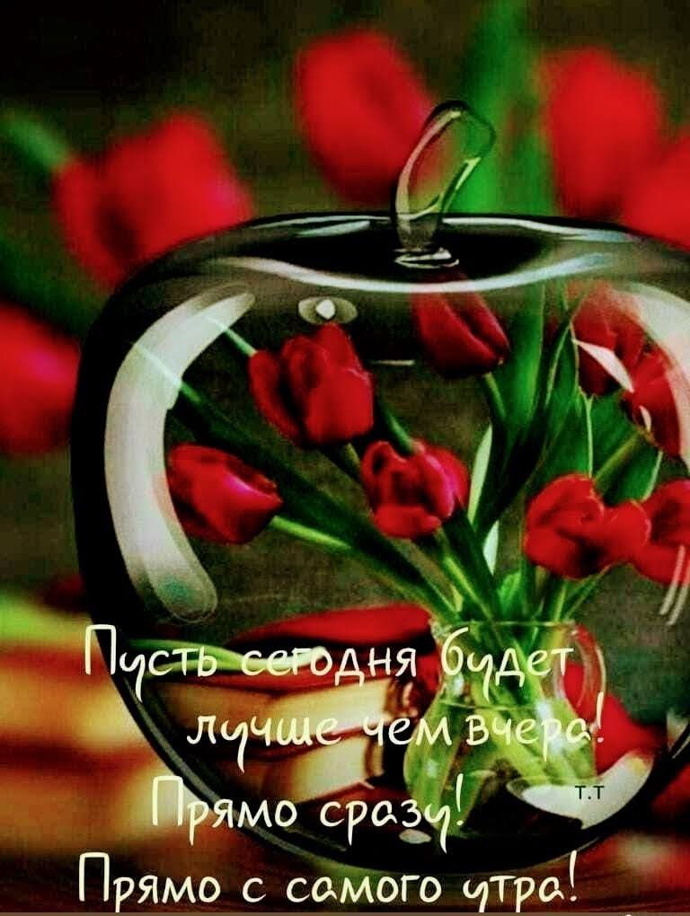 С б Вмо сро3 Прямо с сажого чтре