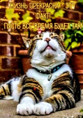 АМ ДЕЛТАЙ т 1Б ЕМЯ