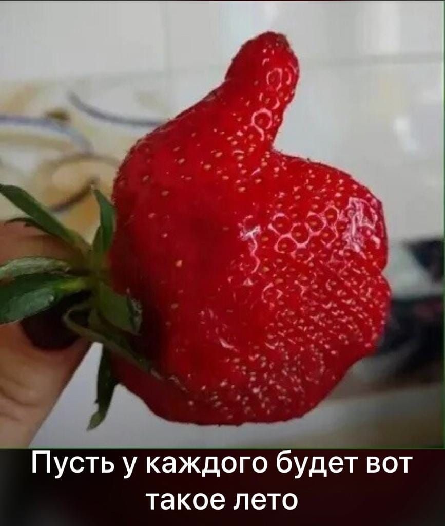 Пусть у каждого будет вот такое лето