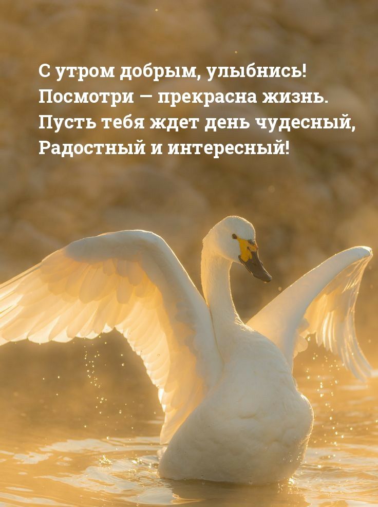 с утра добрым улыбнись Носки гри приписка жизнь Пусть пб ждет день чудесный Радиан интересный