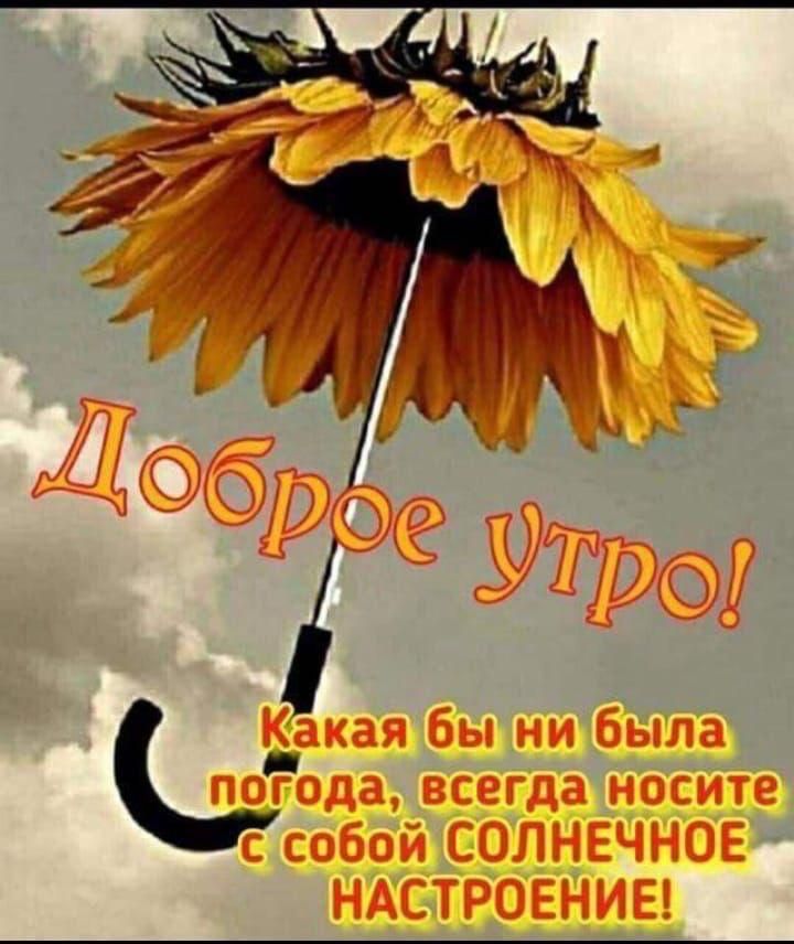 Какая бы ни была пойъда всегда носите с собой СОЛНЕЧНОЕ НАСТРОЕНИЕ