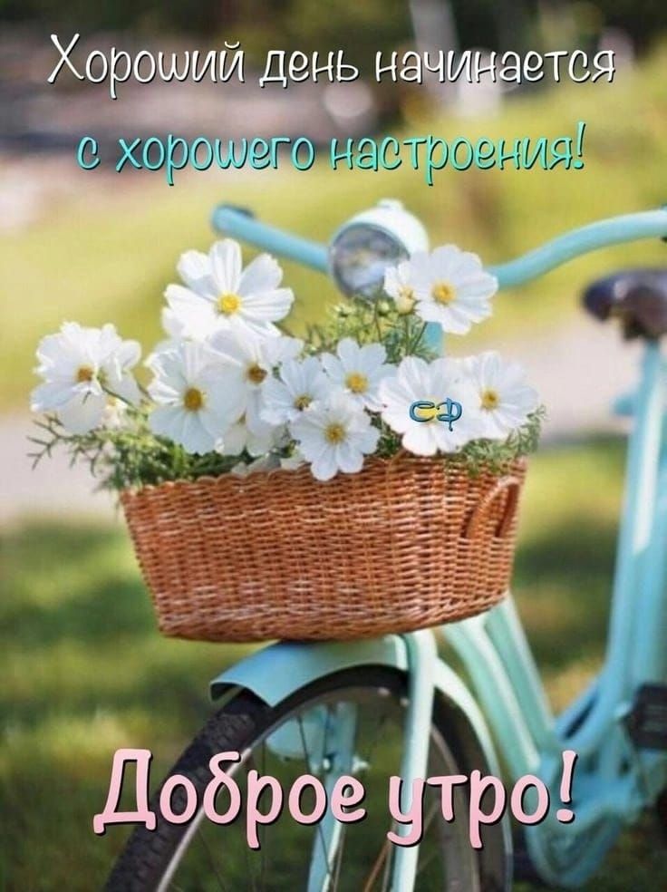 Хороший день жтояд