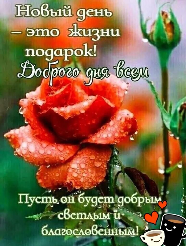 НФВЬДЁ 961 15 это Жизни Пусть ой бузсшэобрьш _ _ сВешььшиСі 33 бАдгосмэВсинъщ