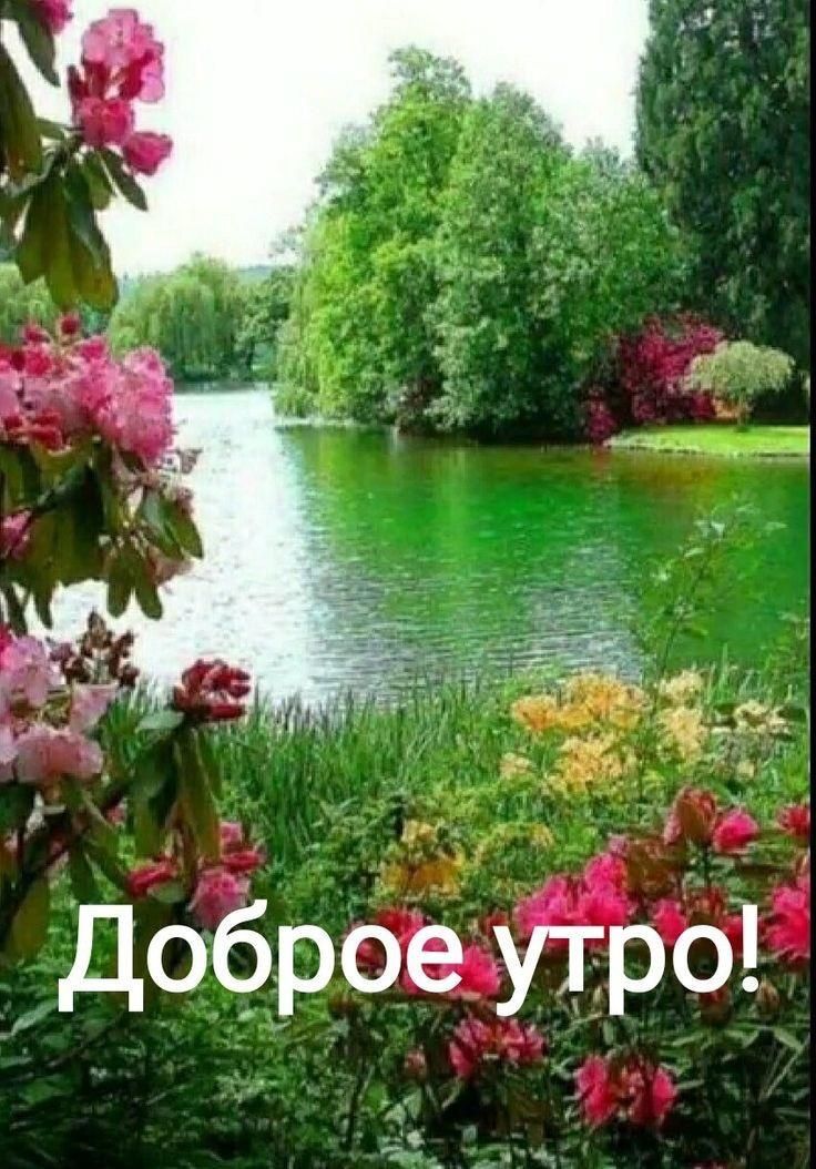 доброе утро