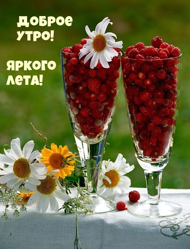 доврое утро яркого 5 лет