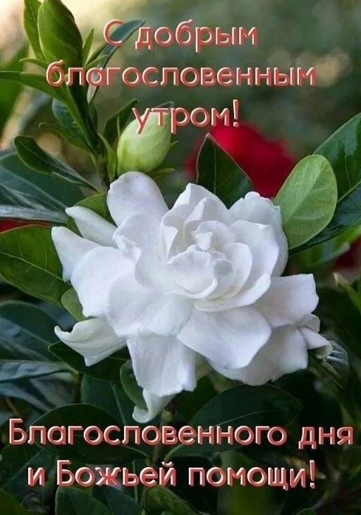 актобрыи бпггос пог шдьп твои ці БПбгосповенного днс и Божьей ПОМОЩМЁ