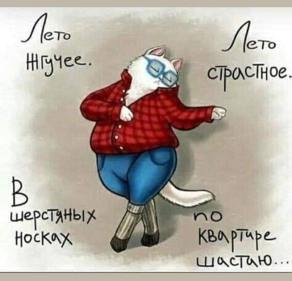 СТВ агат ое шегстяных носкм къщгтигь шил мо