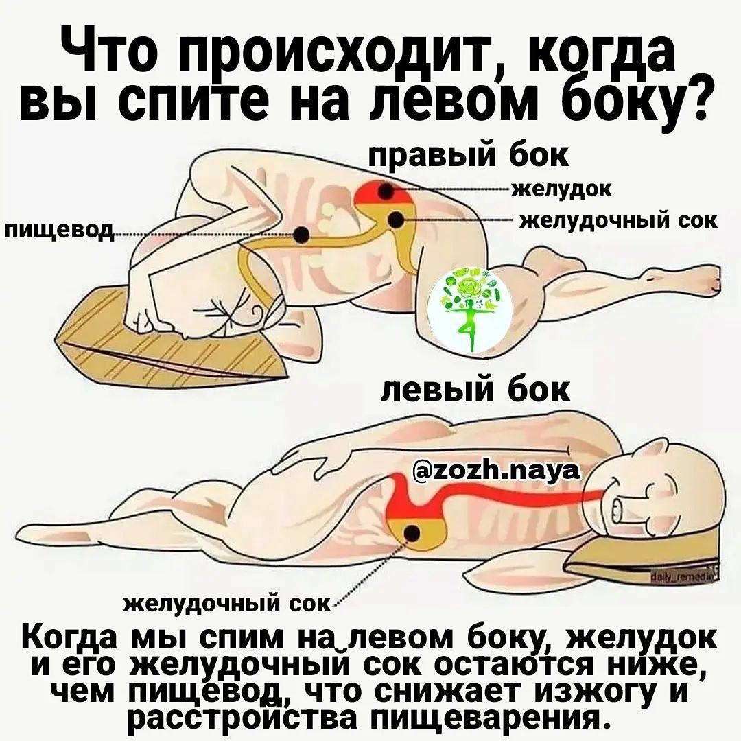 Что происходит к гда вы спите на левом оку правый бок желудок пищевод _ желуди мый желудочный сои Когда мы спим налевом бокюу жеп док и его жел дочиыи сок оста и ж чем пищ под что снижает изжогу и расстроиства пищеварения